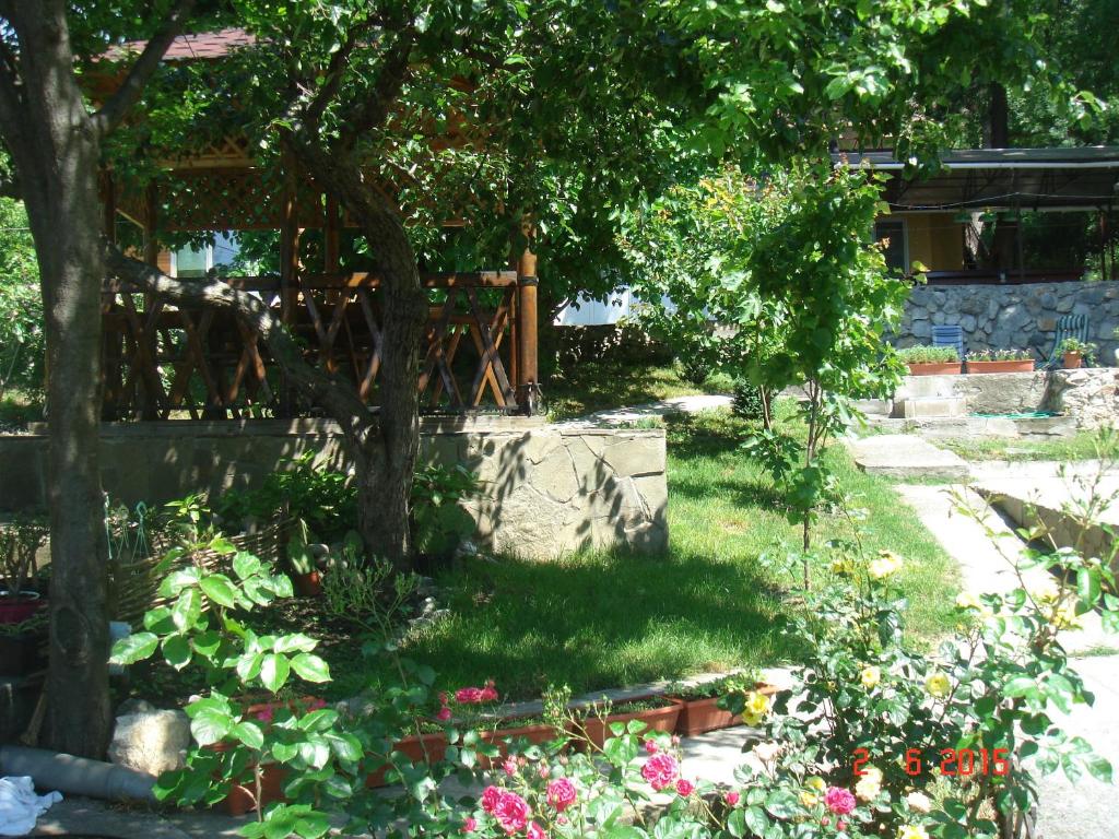 photo6