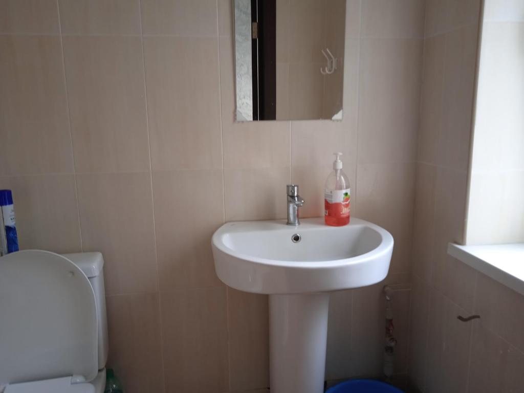photo1