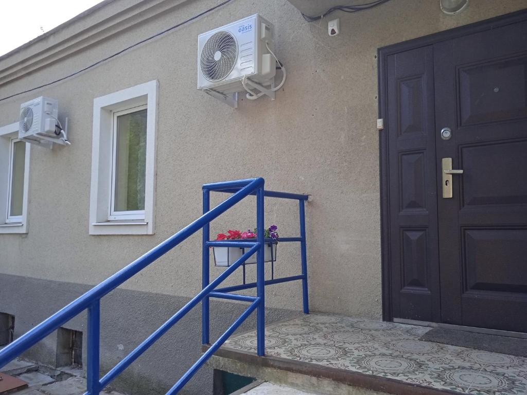 photo6