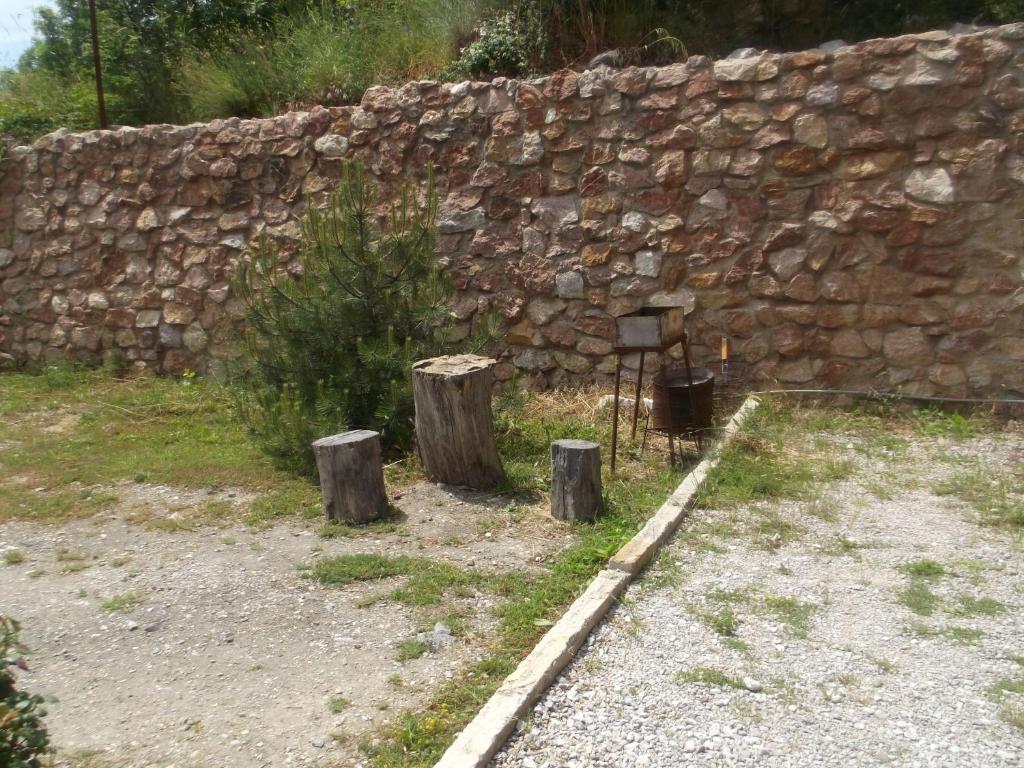 photo1