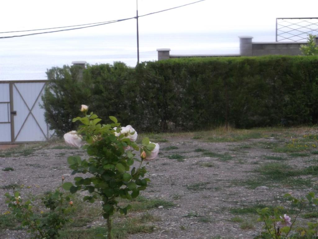 photo5