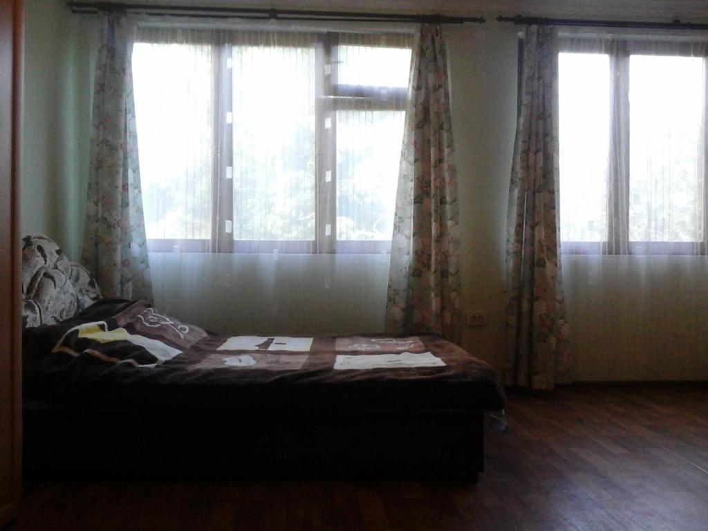 photo6