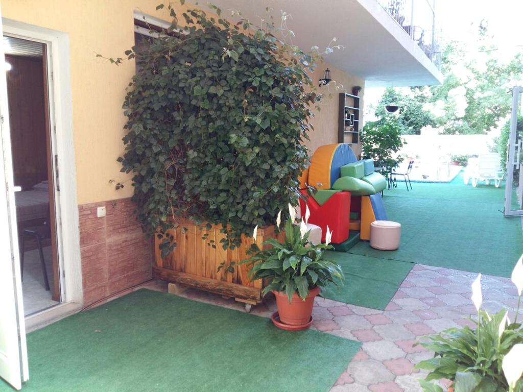 photo6