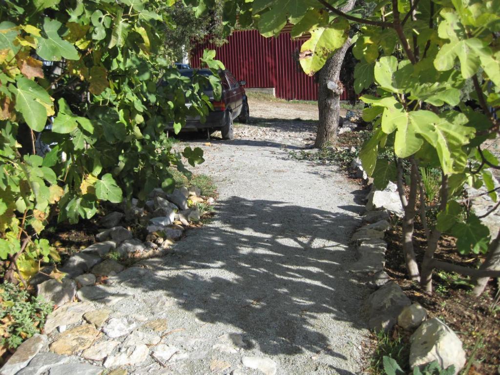 photo2