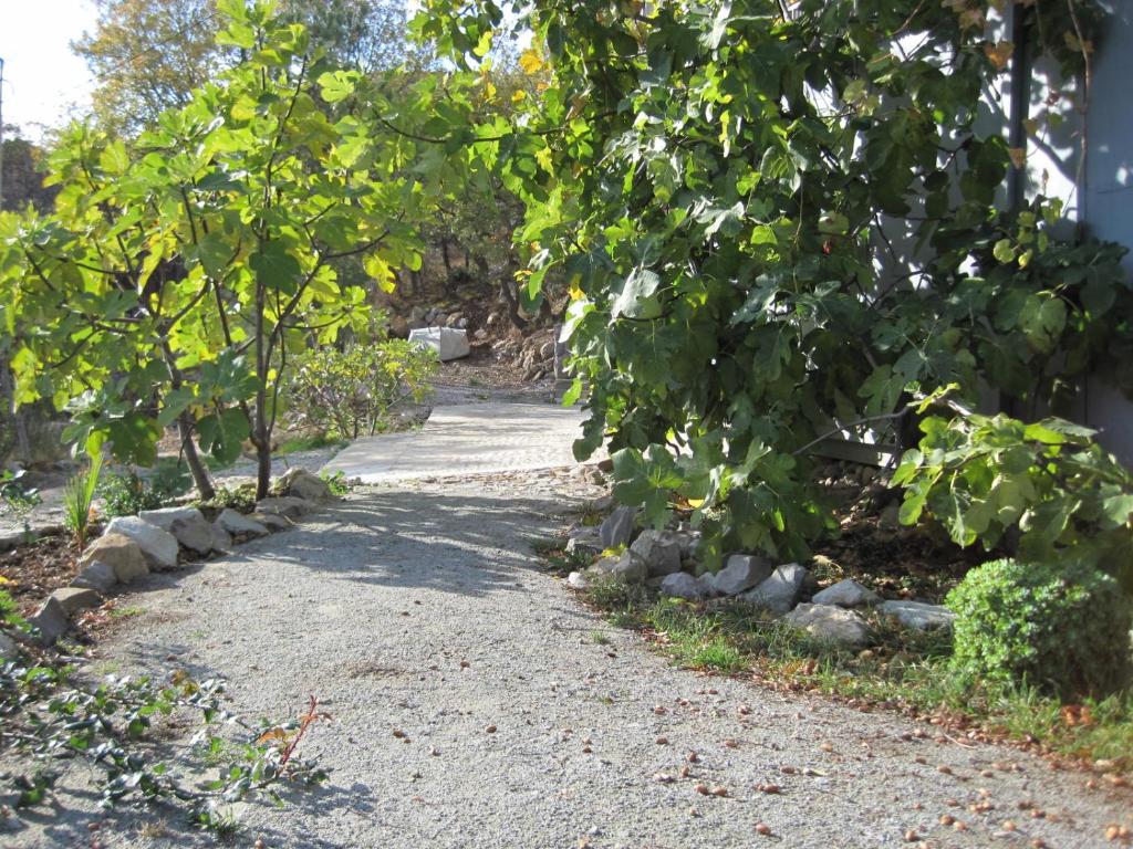 photo5