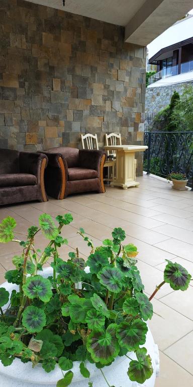 photo3