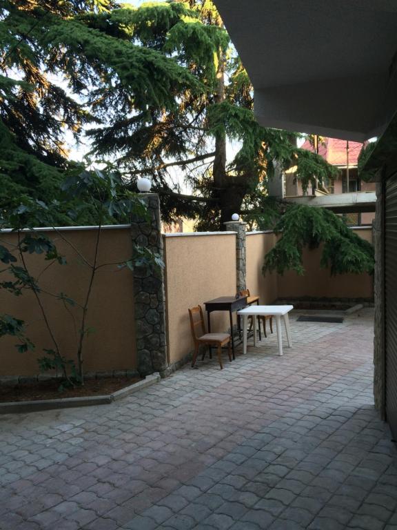 photo6