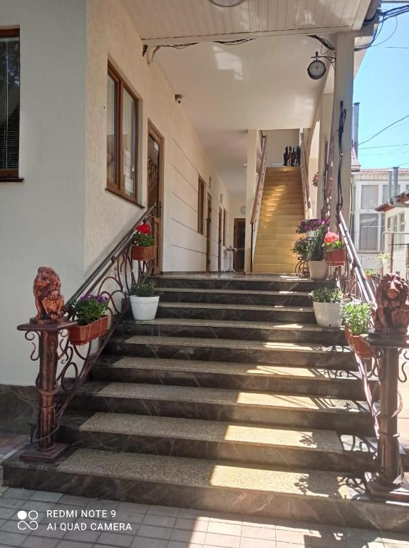 photo1
