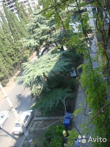 photo2