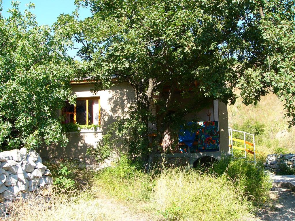 photo1