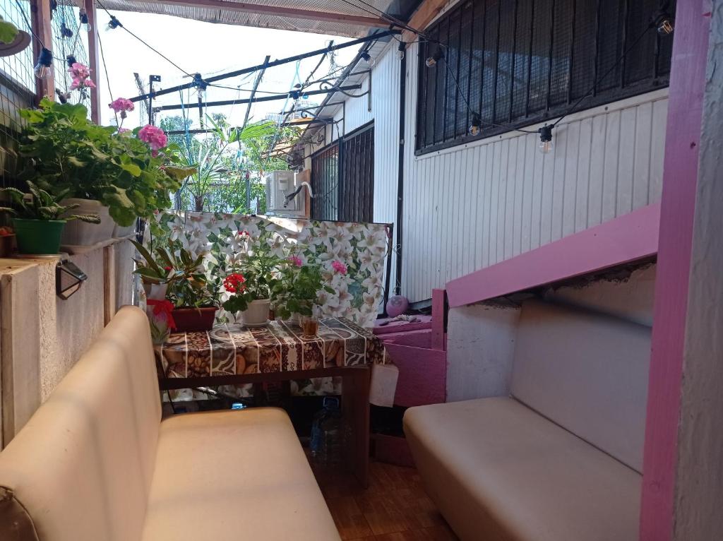 photo6