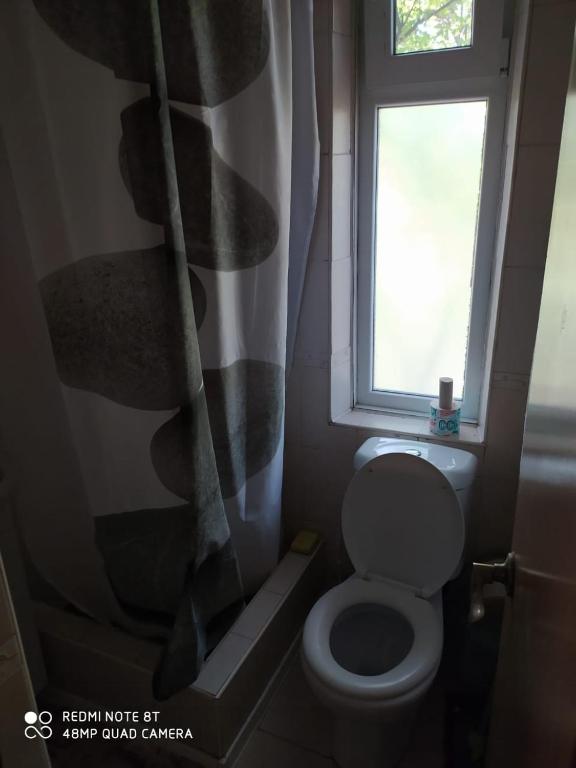 photo6