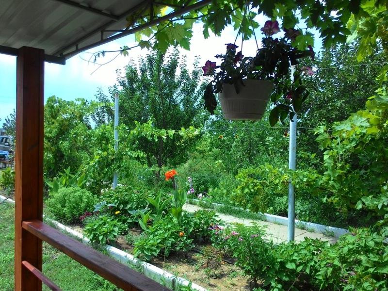 photo2