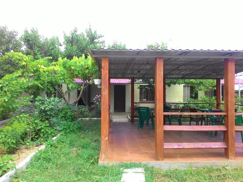 photo3