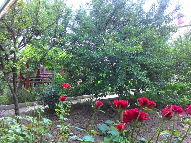 photo5