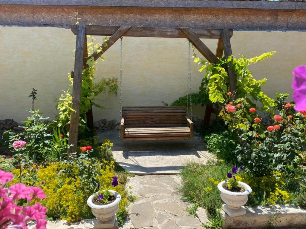 photo5