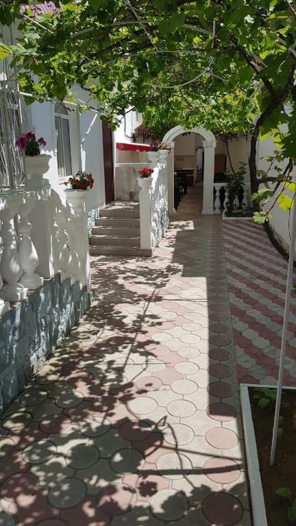 photo6