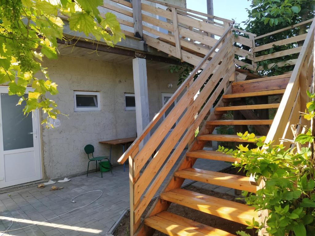 photo1