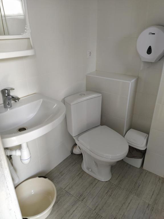 photo6