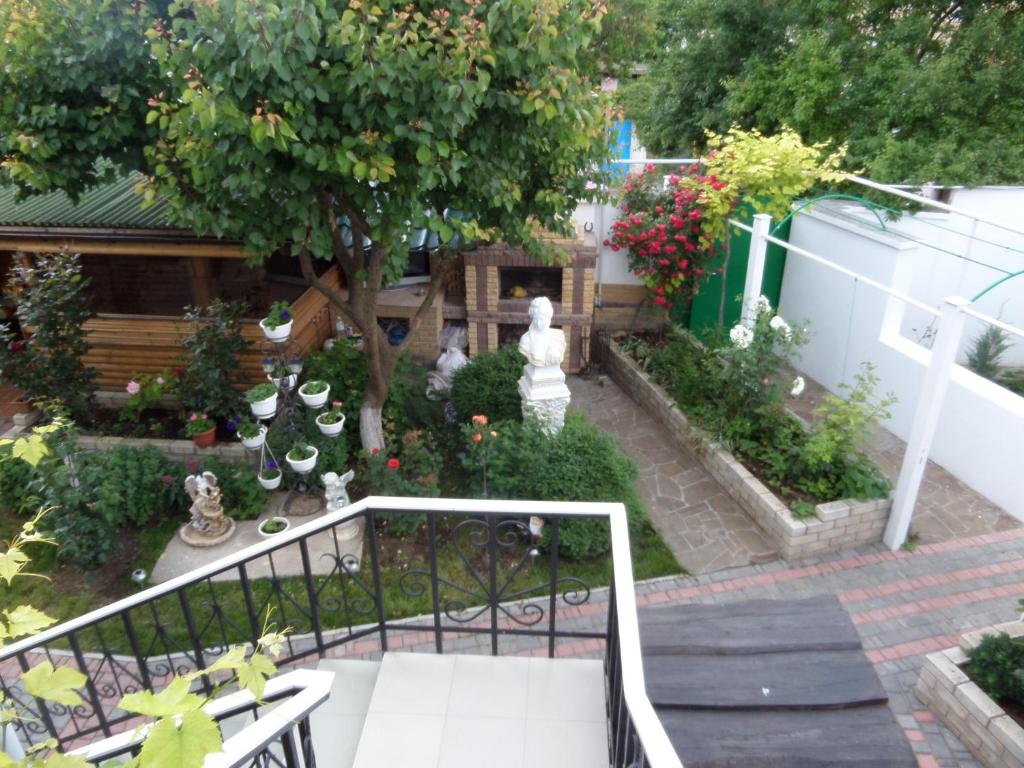 photo1