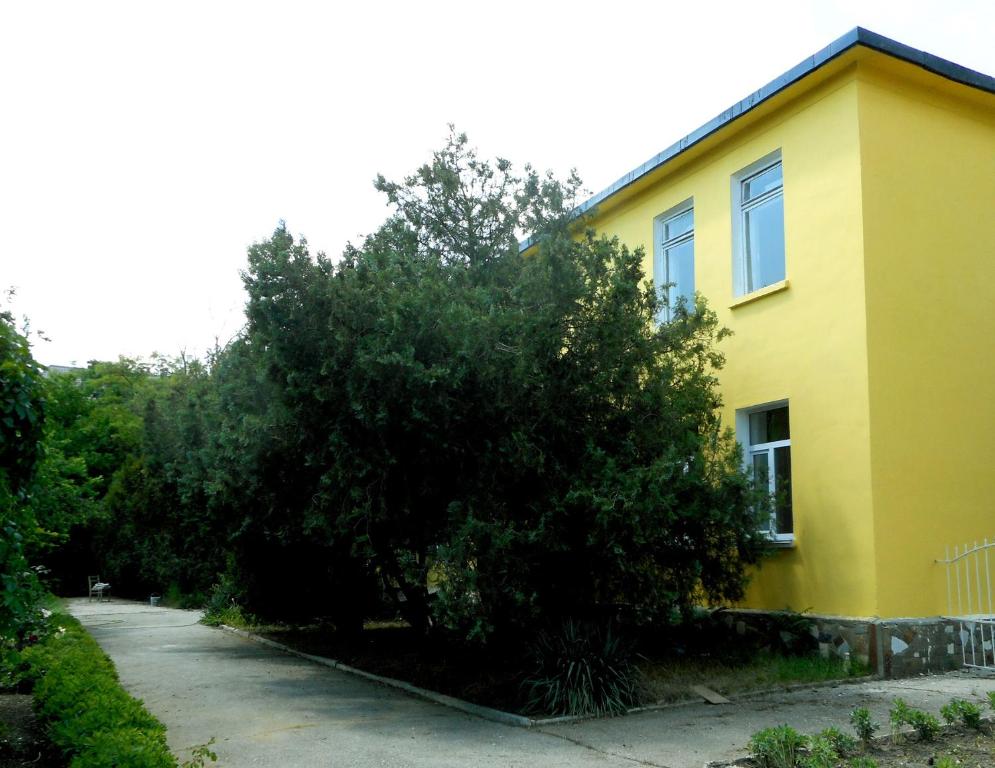 photo6