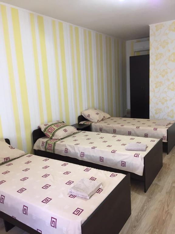 photo6