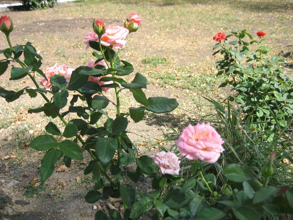 photo5