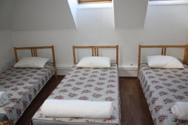 photo5