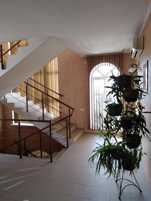 photo5