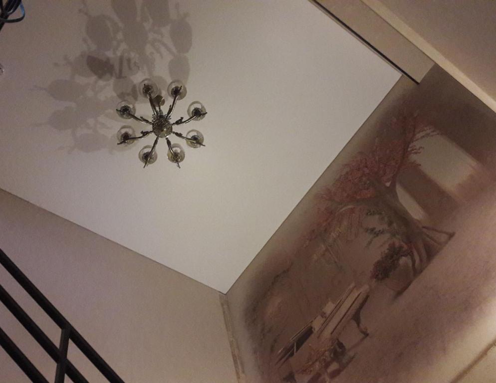 photo2