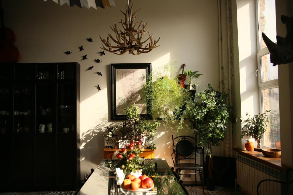 photo1