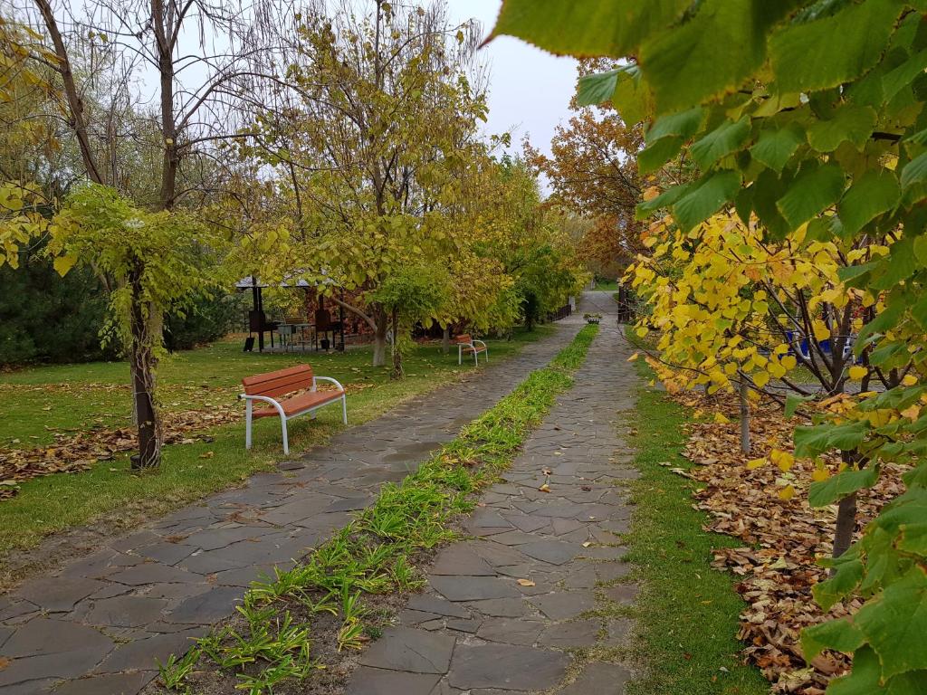 photo3