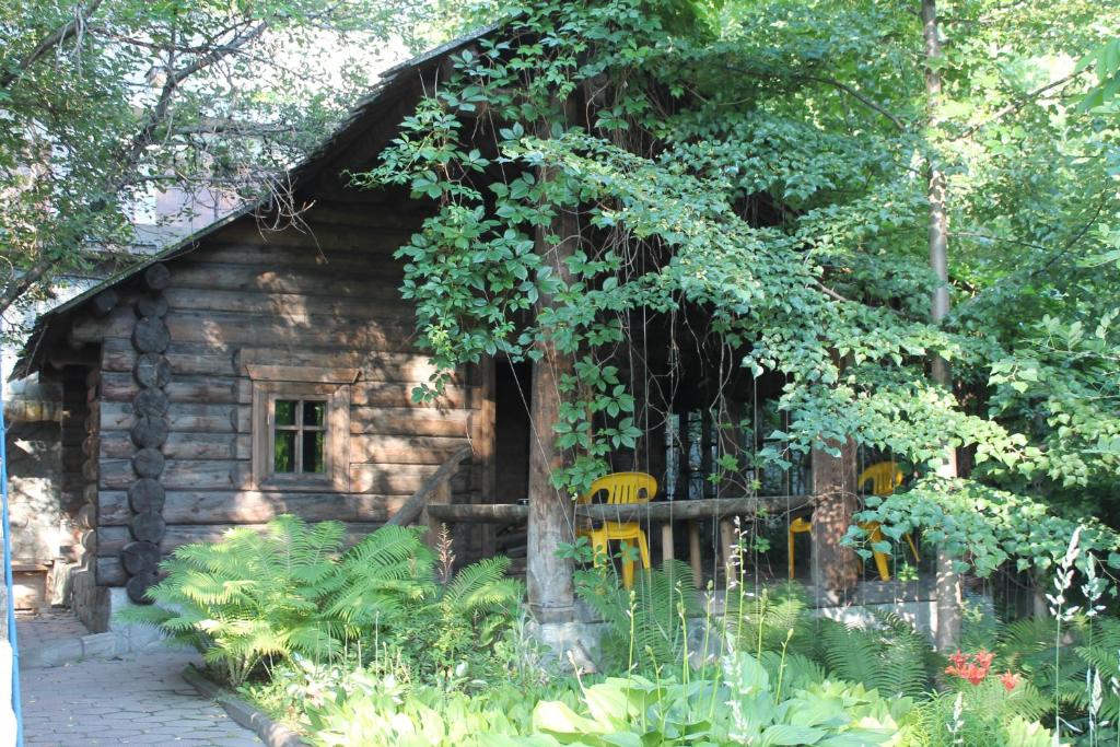 photo1