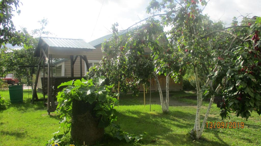 photo6