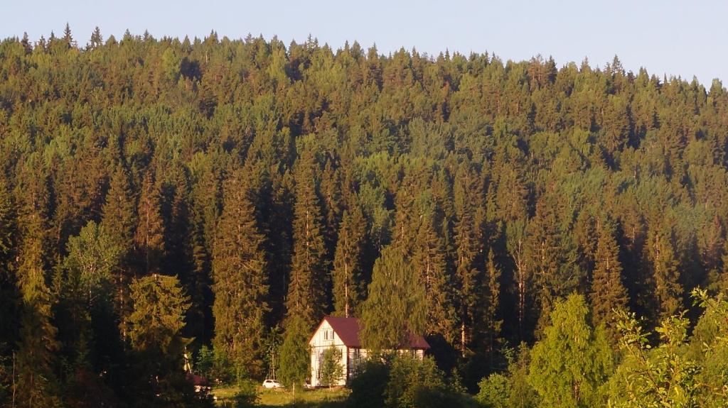 photo6