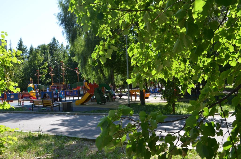 photo6