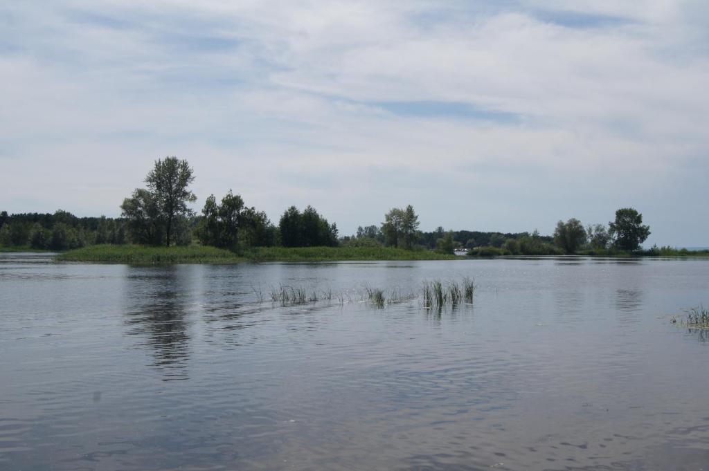 photo6