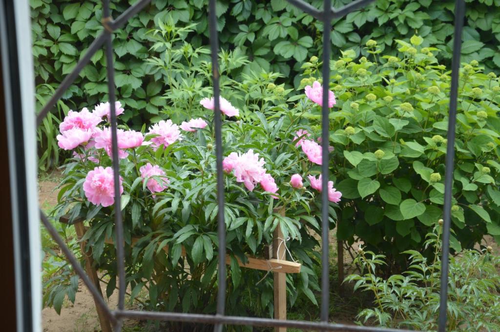 photo2