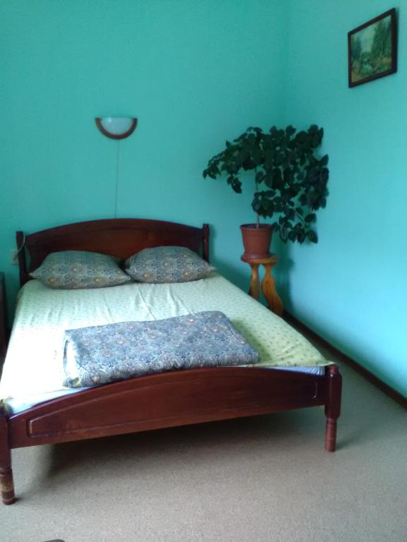photo2