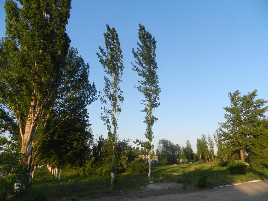 photo2
