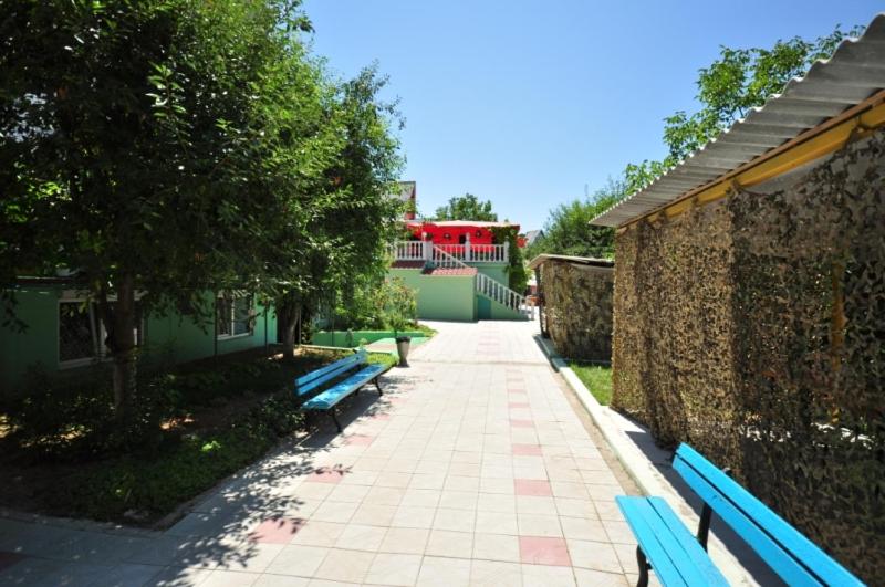 photo5