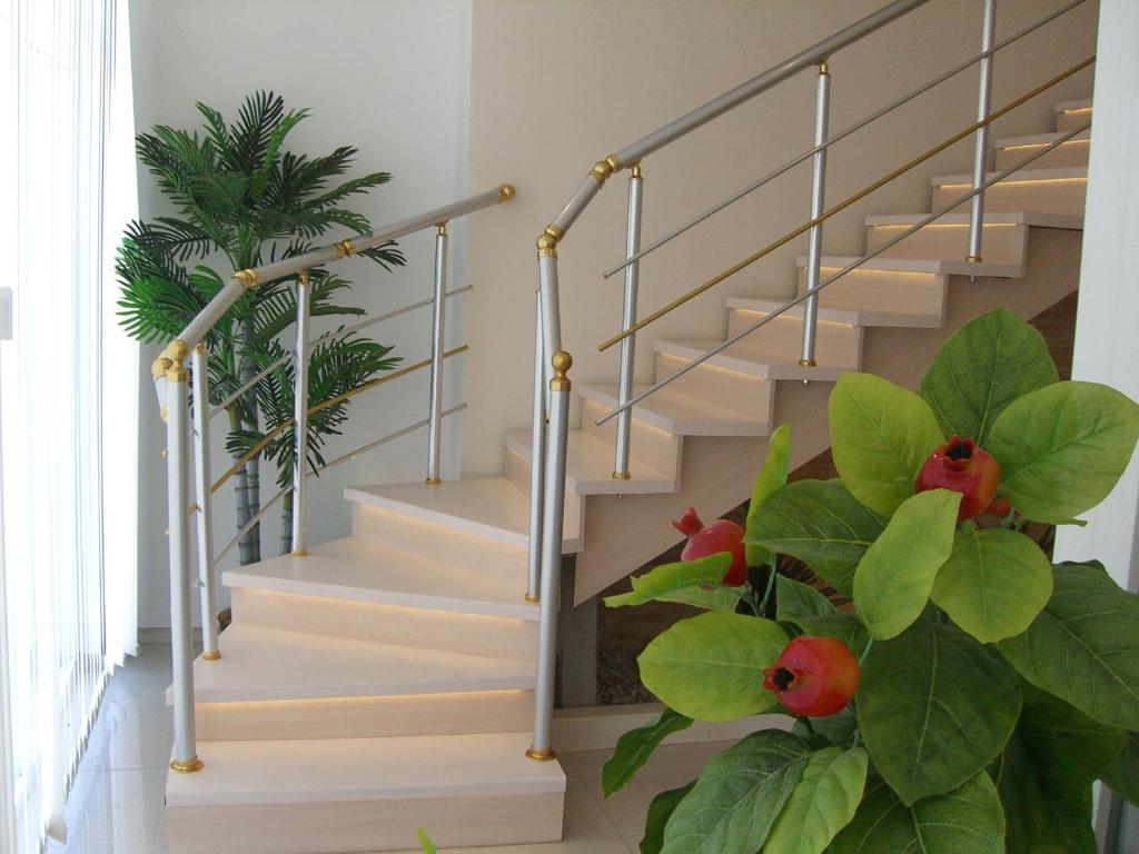photo1