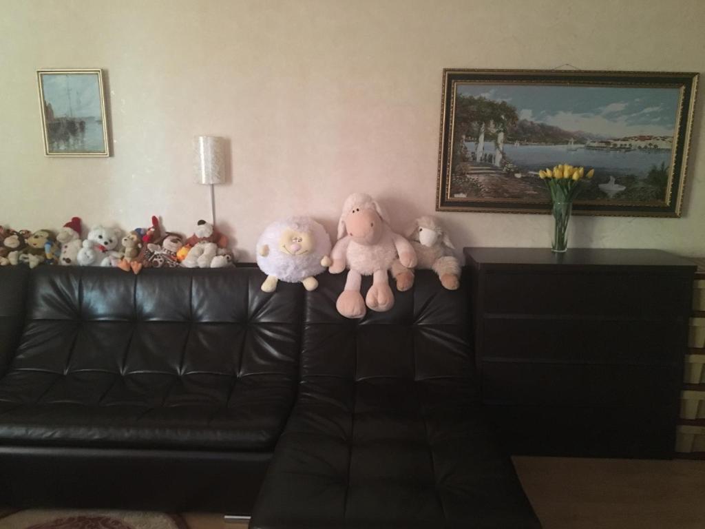 photo5
