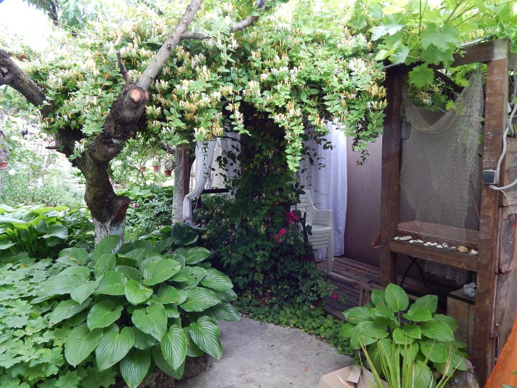 photo1