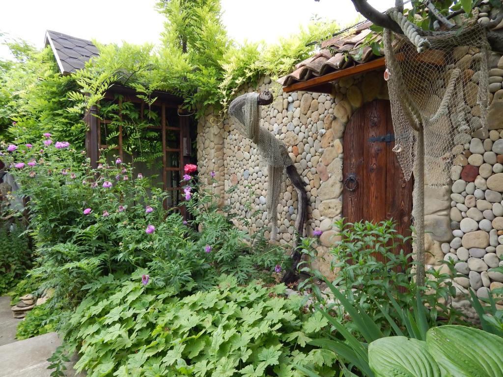 photo6