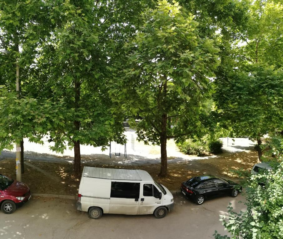 photo5