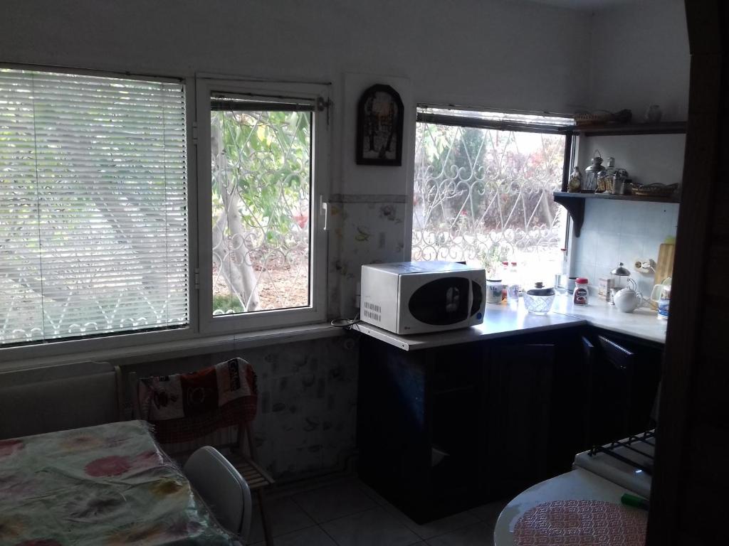 photo3