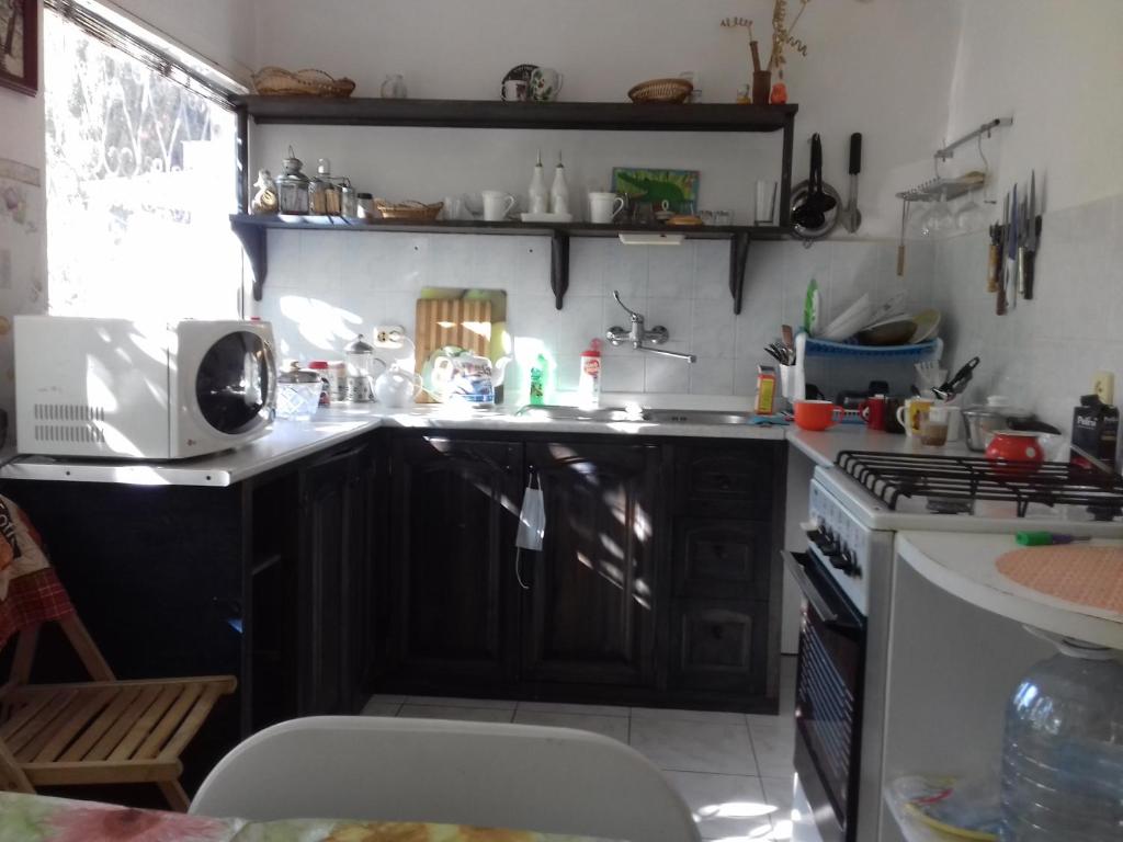 photo5