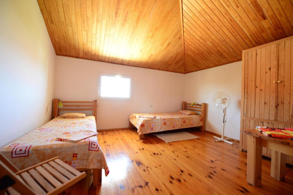 photo6