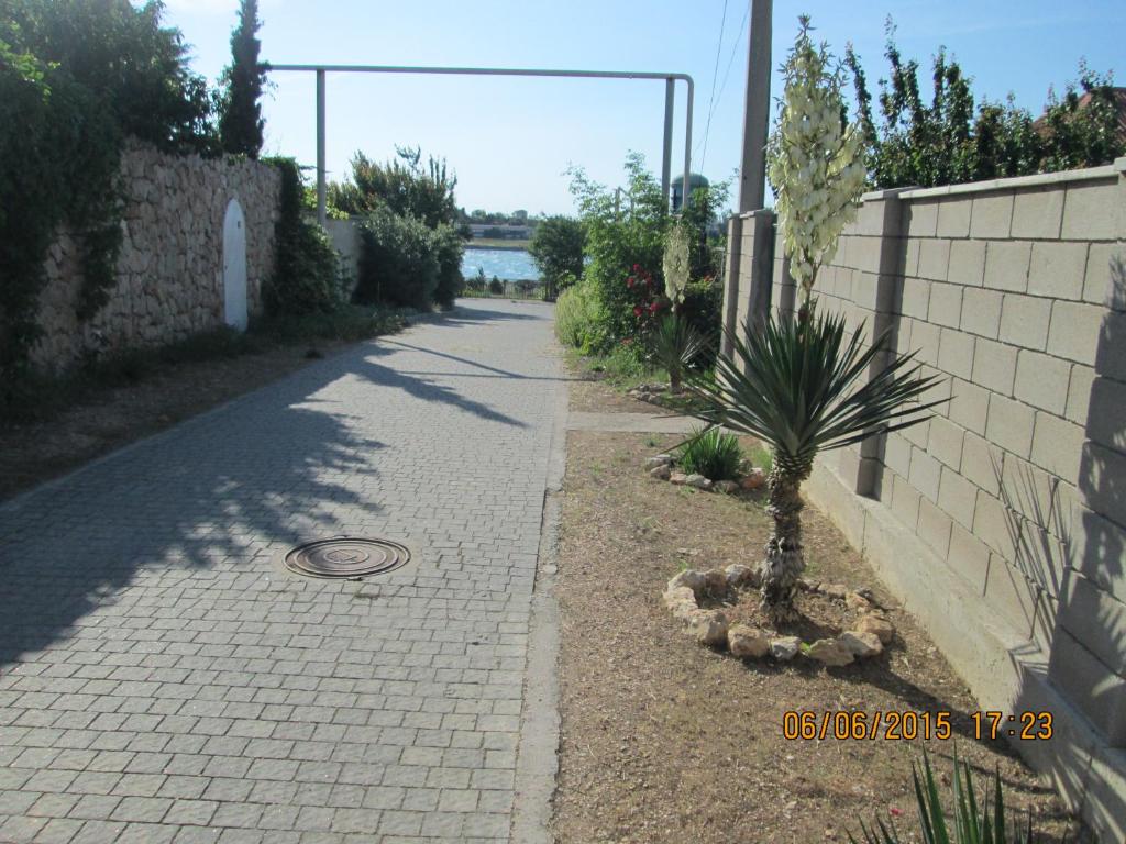 photo6